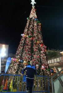 1478997_10202457423778224_28080083_n